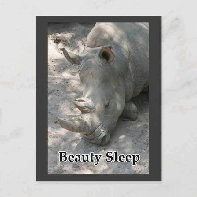Rhino-Foto mit "Beauty Sleep"-Text Postkarte (Vorderseite)
