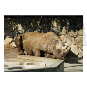 Rhino Grußkarte schlafend