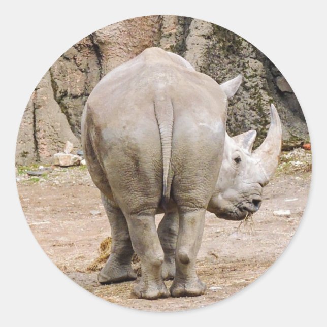 Rhino-Hintern Runder Aufkleber (Vorderseite)