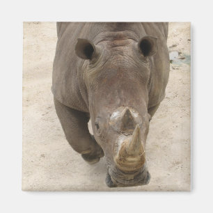 Rhino Magnet