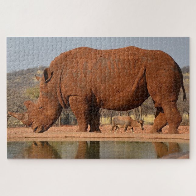 Rhino mit Schlamm auf der Haut (Horizontal)