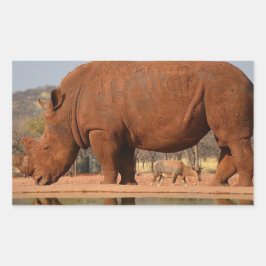Rhino mit Schlamm auf der Haut Rechteckiger Aufkleber