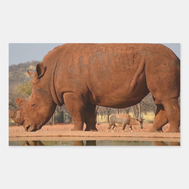 Rhino mit Schlamm auf der Haut Rechteckiger Aufkleber (Vorderseite)