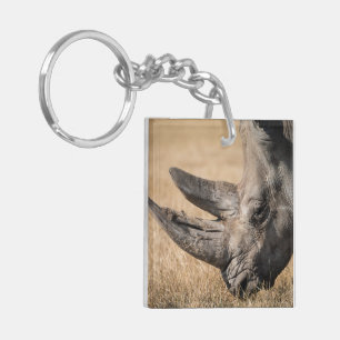 Rhino Office Accueil Personnaliser Destiny Destiny