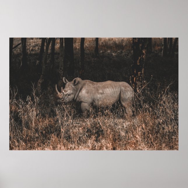 RHINO POSTER (Vorne)