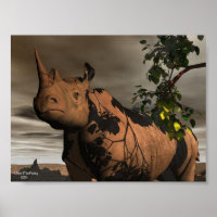 Rhino