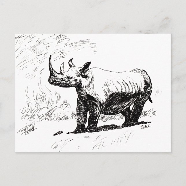 RHINO POSTKARTE (Vorderseite)