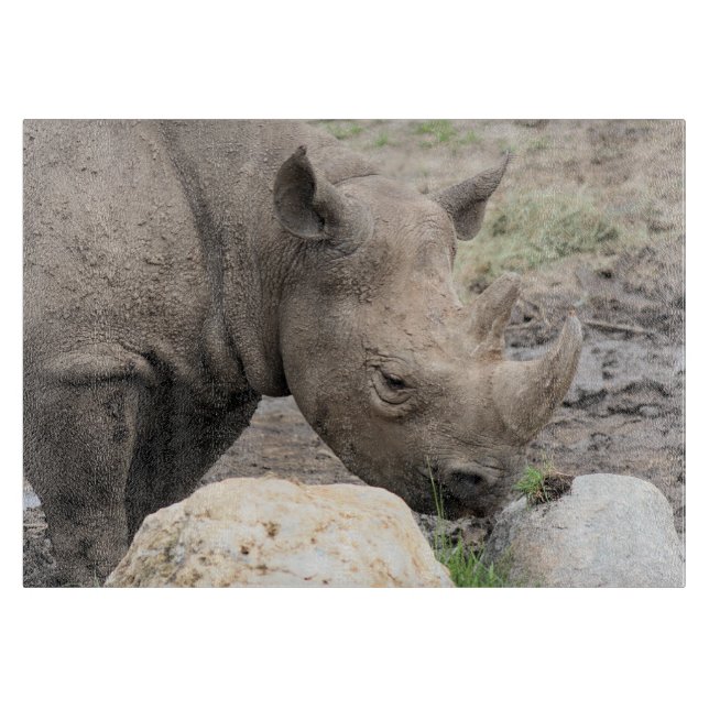 Rhino Schneidebrett (Vorderseite)