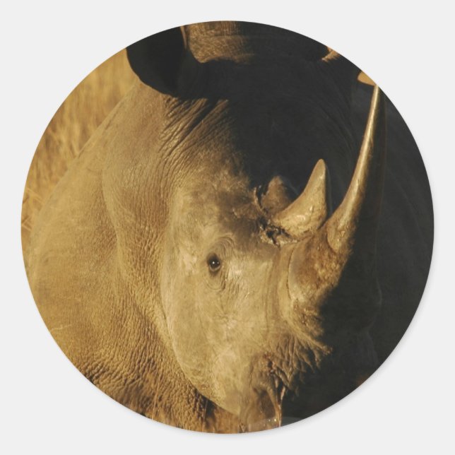 Rhino Sticker (Vorderseite)