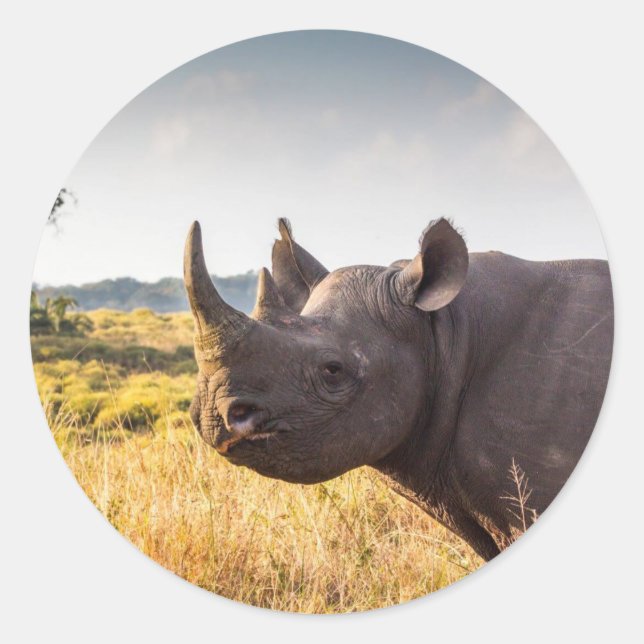 Rhino Sticker (Vorderseite)