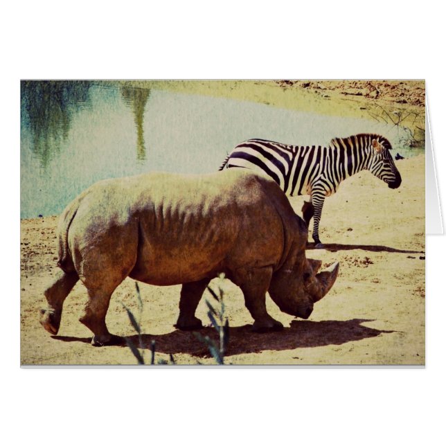 Rhino und Zebra (Vorderseite (Horizontal))