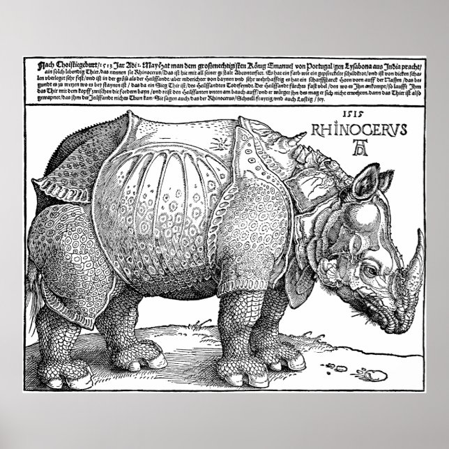 Rhino von Albrecht Durer Poster (Vorne)