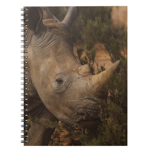 RHINO WILD TIERE NOTIZBLOCK (Vorderseite)