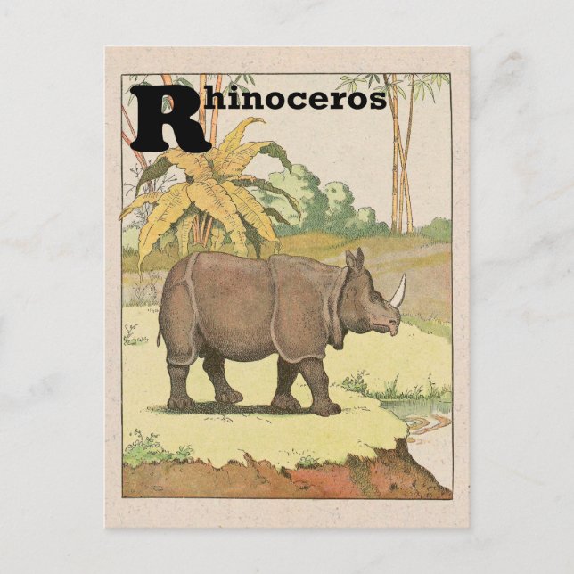 Rhinoceros Alphabet Animal Postkarte (Vorderseite)