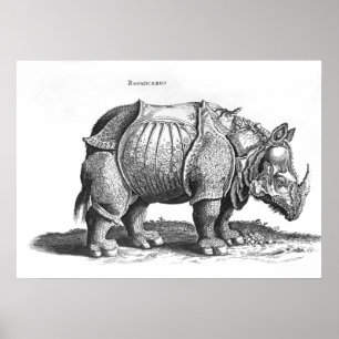 Rhinoceros, aus "Historia Animalium" Poster