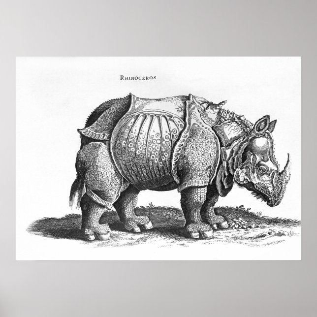 Rhinoceros, aus "Historia Animalium" Poster (Vorne)