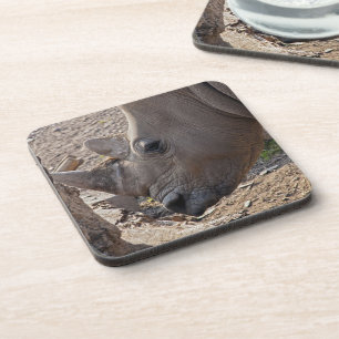 Rhinoceros Getränkeuntersetzer