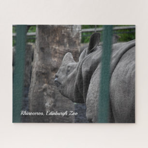 Rhinoceros, großartigere Rhinozeros im Zoo von Edi