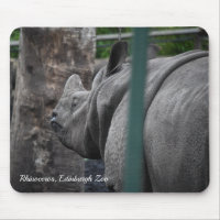 Rhinoceros, großartigere Rhinozeros im Zoo von Edi