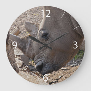 Rhinoceros Große Wanduhr