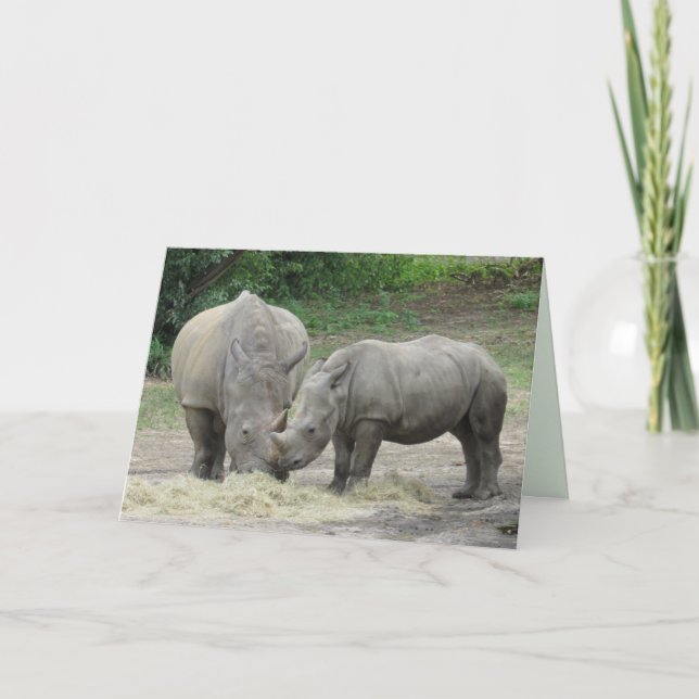 Rhinoceros Grußkarte Karte (Vorderseite)