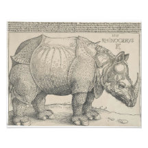 Rhinoceros, Holzschnitt von Albrecht Durer