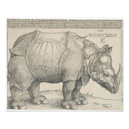 Rhinoceros, Holzschnitt von Albrecht Durer Fotodruck