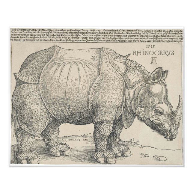 Rhinoceros, Holzschnitt von Albrecht Durer Fotodruck (Vorne)