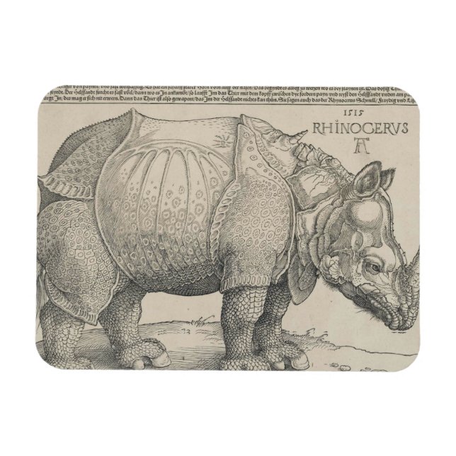 Rhinoceros, Holzschnitt von Albrecht Durer Magnet (Horizontal)