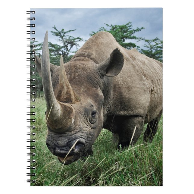 Rhinoceros | Kenia Notizblock (Vorderseite)
