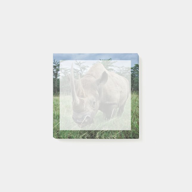 Rhinoceros | Kenia Post-it Klebezettel (Vorderseite)