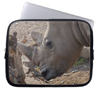 Rhinoceros