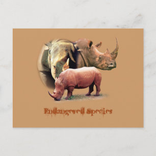 Rhinoceros Les Espèces Menacées Cartes