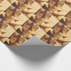 Rhinoceros-Liebe Geschenkpapier