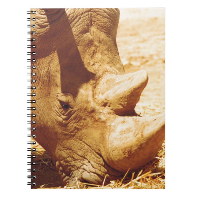 Rhinoceros-Liebe Notizblock (Vorderseite)