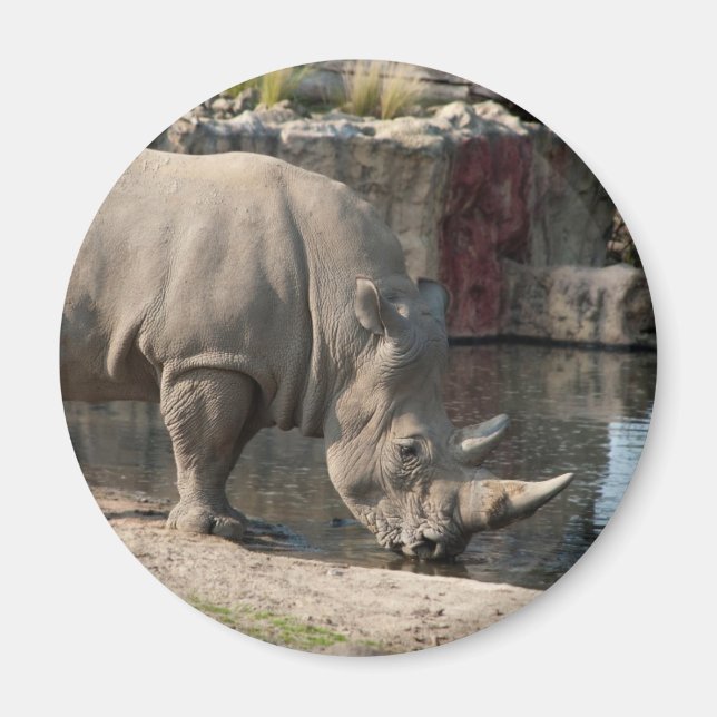 Rhinoceros Magnet (Vorne)