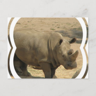 Rhinoceros Postcard Postkarte