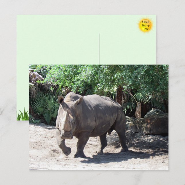 Rhinoceros Postkarte aufladen (Vorne/Hinten)