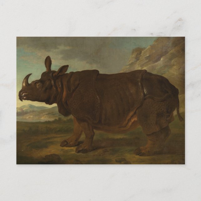 Rhinoceros (Rhino) (Wild Animal) (von J.B. Oudry) Postkarte (Vorderseite)