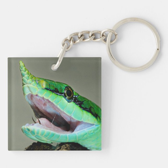 Rhinoceros Snake Schlüsselanhänger (Rückseite)