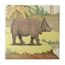 Rhinoceros Storybook