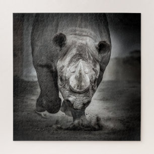 Rhinoceros: Wildtierportrait.