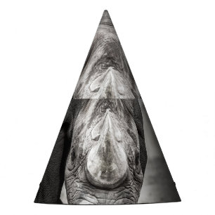 Rhinoceros: Wildtierportrait. Partyhütchen
