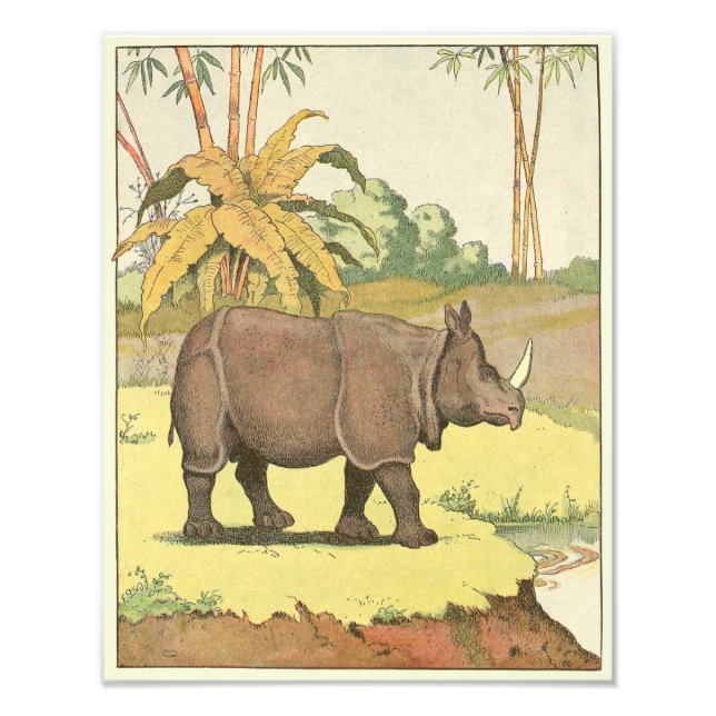 Rhinozeros am Wasserloch Illustriert Fotodruck (Vorne)
