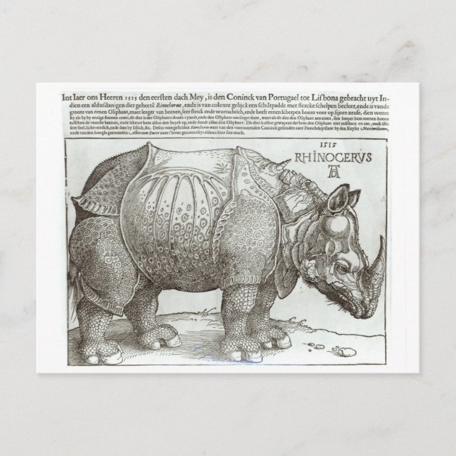 Rhinozeros, Druck, gegeben an Maximilian I (1459-1 Postkarte (Vorderseite)