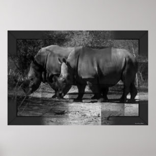 Rhinozerosen Print Poster