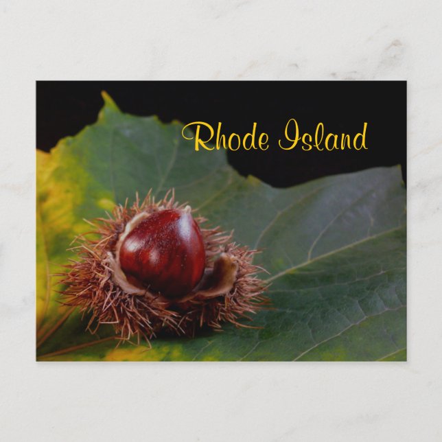 Rhode Island, Herbstleaf mit Nut Postcard Postkarte (Vorderseite)