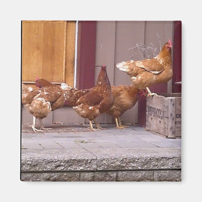 Rhode Island Magnet (Vorne)