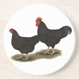 Rhode Island Red Bantams Getränkeuntersetzer