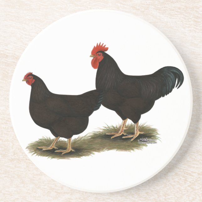 Rhode Island Red Bantams Getränkeuntersetzer (Vorne)